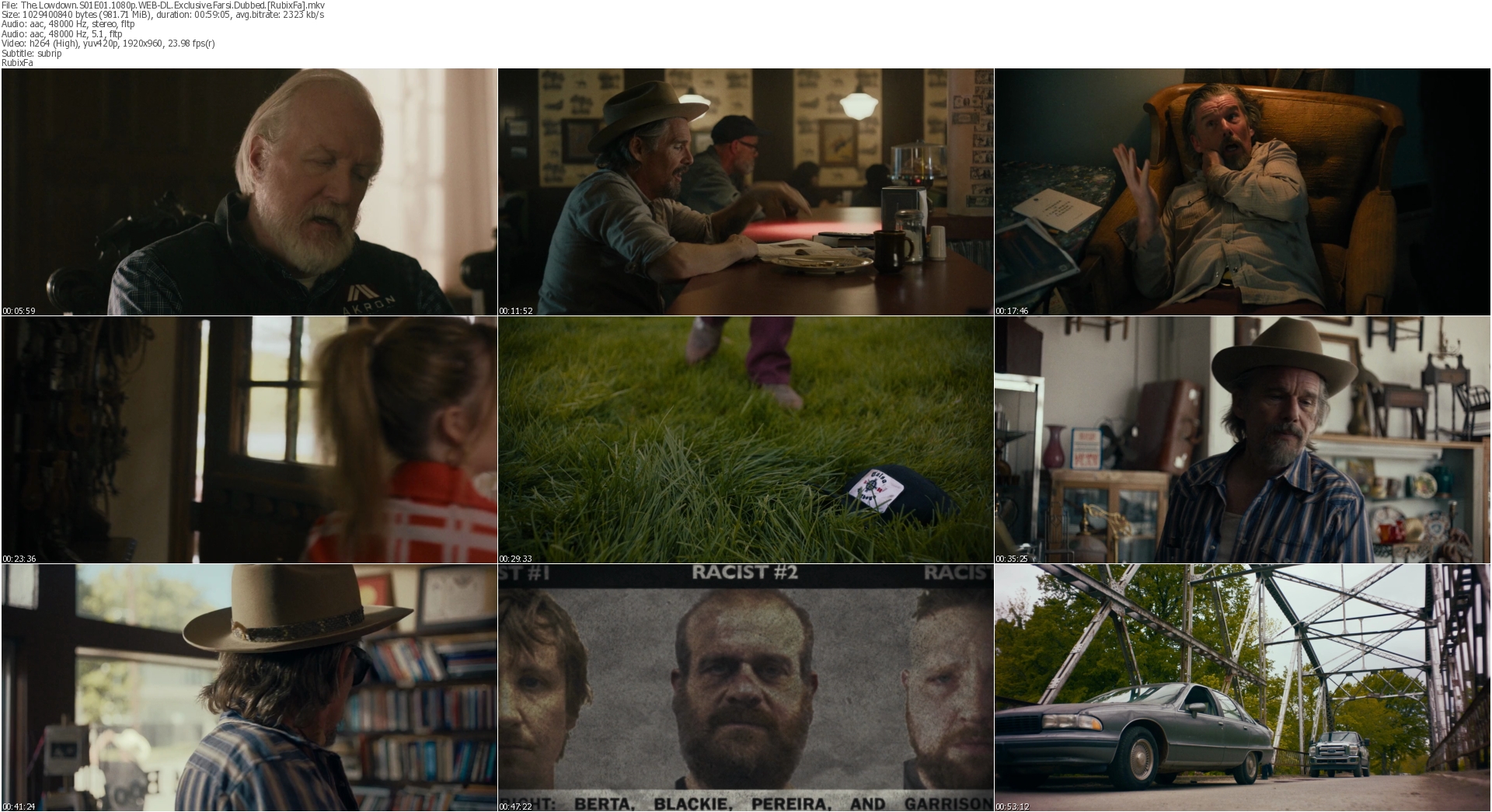 دانلود سریال The Lowdown دوبله فارسی